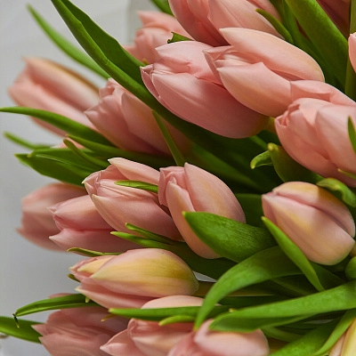 Букет персиковых тюльпанов