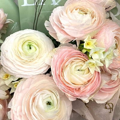 Букет из ранункулусов